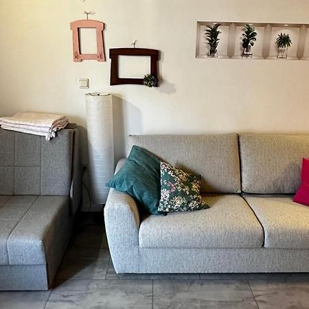 Lara Deluxe Superior 5 Star Apartment, Your Piece Of Heaven By The Sea & Park Novigrad  Luaran gambar